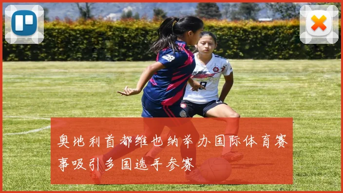 奥地利首都维也纳举办国际体育赛事吸引多国选手参赛